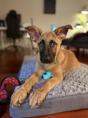 Juanita Hills Animal Hospital