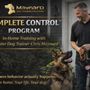 Maynard Dog Training Solutions