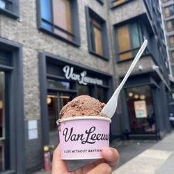 Van Leeuwen Ice Cream - Prospect Heights - Dark Chocolate Fudge Brownie