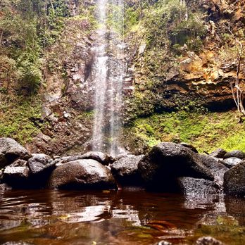 Ali'i Kayaks - Amazing waterfall view. Yes!! You can swim and take photos. And yes water is a little chilly but 100% worth it! - Tours Near Me - Kapaa, Hawaii Ali'i Kayaks - Amazing waterfall view. Yes!! You can swim and take photos. And yes water is a little chilly but 100% worth it! - Tours Near Me - Kapaa, Hawaii