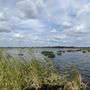 Photo of Lakeside Ranch Stormwater Treatment Area