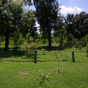 Hermann Park Conservancy - Lots of green space! - Parks Near Me - Houston, Texas Hermann Park Conservancy - Lots of green space! - Parks Near Me - Houston, Texas