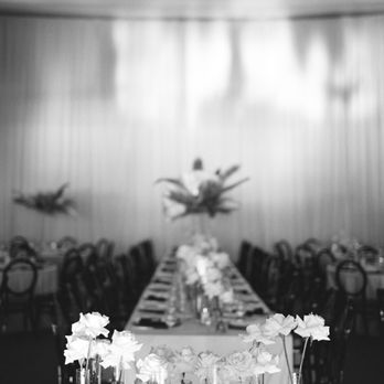 To Be Designed - Party Equipment Rentals Near Me - San Diego, California