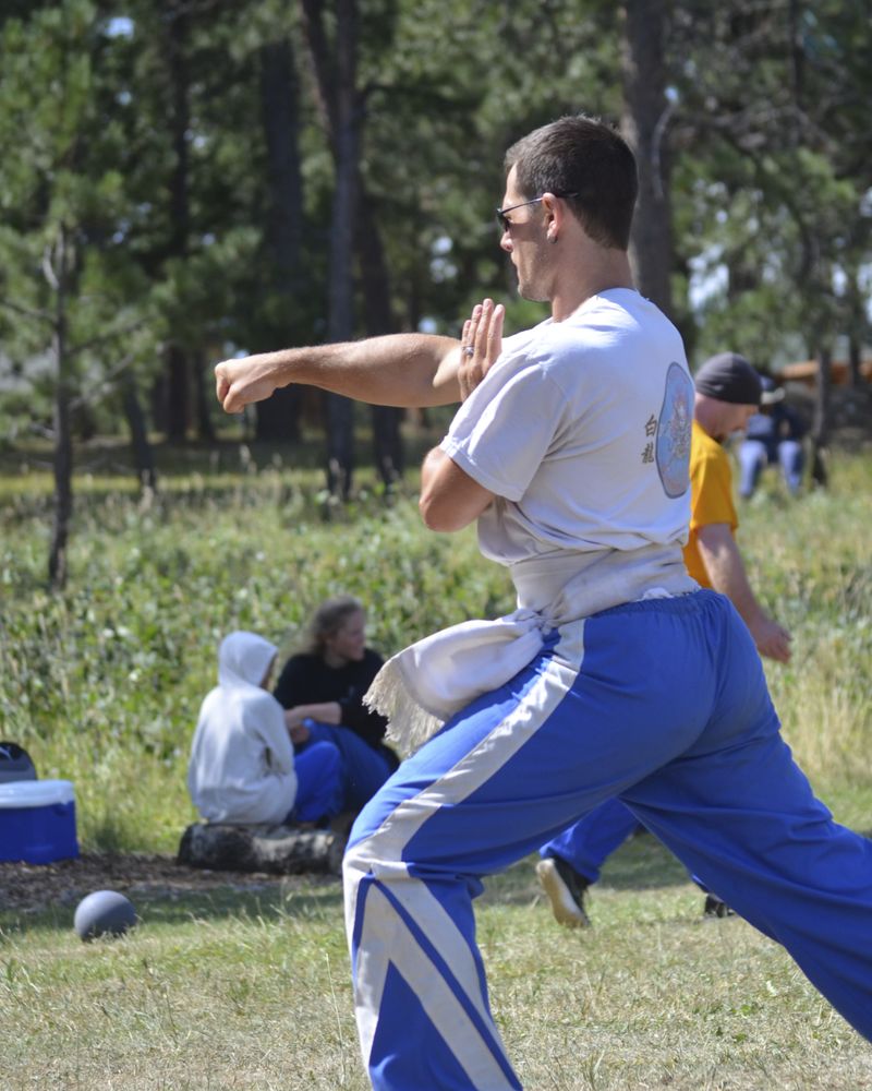 Pai Lum White Dragon Martial Arts Logo