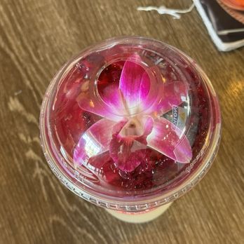 Nok’s Kitchen - Dragon Fruit Lemonade - Laotian Near Me - Westminster, California Nok’s Kitchen - Dragon Fruit Lemonade - Laotian Near Me - Westminster, California