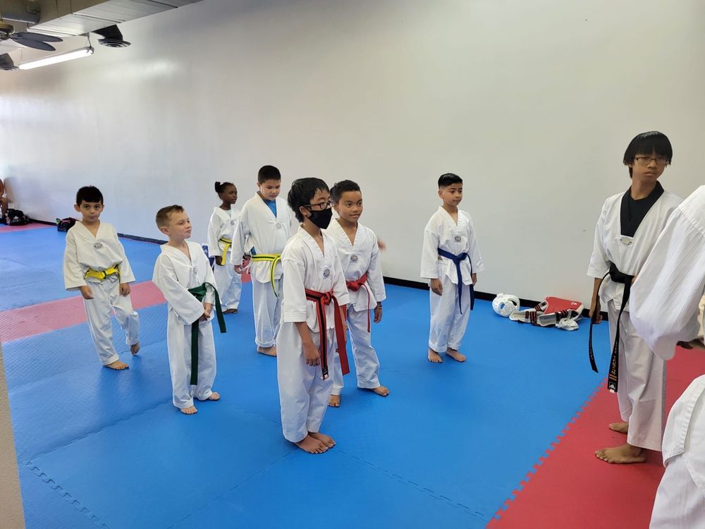 KJ Taekwondo Logo