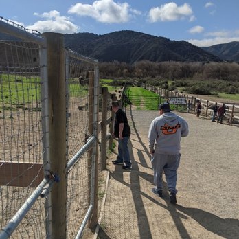 Ostrichland USA - Attraction Farms Near Me - Solvang, California Ostrichland USA - Attraction Farms Near Me - Solvang, California