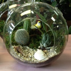 Garden Grove Florist