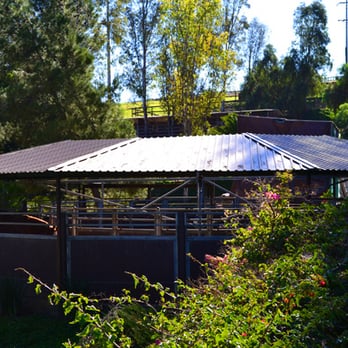DVG Show Stables at Blue Fox Farm - The covered equisizer helps keep our horses in training fit even if we experience rain in sunny SoCal. - Horseback Riding Near Me - Escondido, California DVG Show Stables at Blue Fox Farm - The covered equisizer helps keep our horses in training fit even if we experience rain in sunny SoCal. - Horseback Riding Near Me - Escondido, California