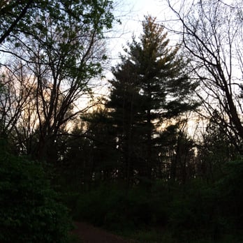 Greene Valley County Forest Preserve - Hiking Near Me - Naperville, Illinois