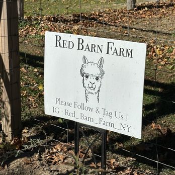 Red Barn Farm - Attraction Farms Near Me - Baiting Hollow, New York Red Barn Farm - Attraction Farms Near Me - Baiting Hollow, New York