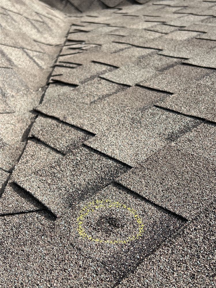 Slide of Mighty Dog Roofing