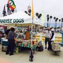 Photo of Paradise Dogs