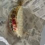 Photo of Taco Bob's
