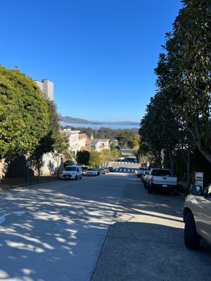 Laurel Heights by null