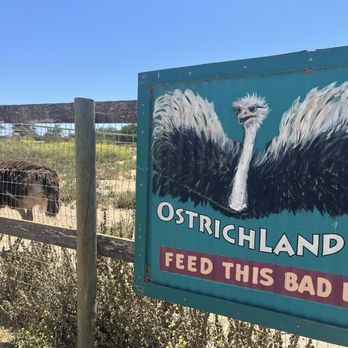 Ostrichland USA - Attraction Farms Near Me - Solvang, California Ostrichland USA - Attraction Farms Near Me - Solvang, California