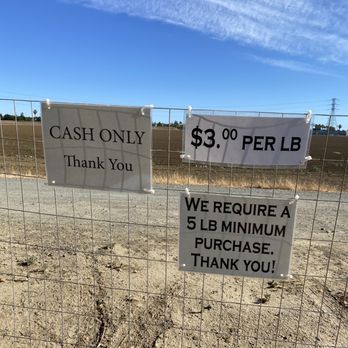 Pomeroy Farm - Cash only, $3/lb, 5 lbs minimum - Fruits & Veggies Near Me - Brentwood, California Pomeroy Farm - Cash only, $3/lb, 5 lbs minimum - Fruits & Veggies Near Me - Brentwood, California