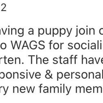 Wags Pet Resort - Tigard - Pet Training Near Me - Tigard, Oregon Wags Pet Resort - Tigard - Pet Training Near Me - Tigard, Oregon
