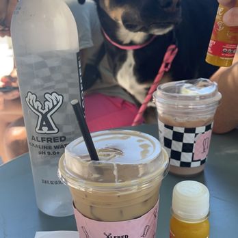 Alfred Coffee - Iced vanilla latte - Coffee & Tea Near Me - Malibu, California