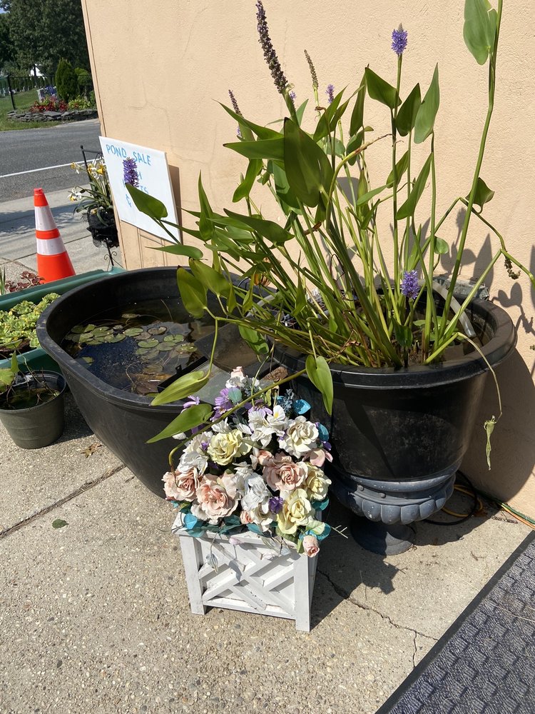 DOGGIE DON’S PET CENTER Updated August 2024 18 Reviews 128 Laurel