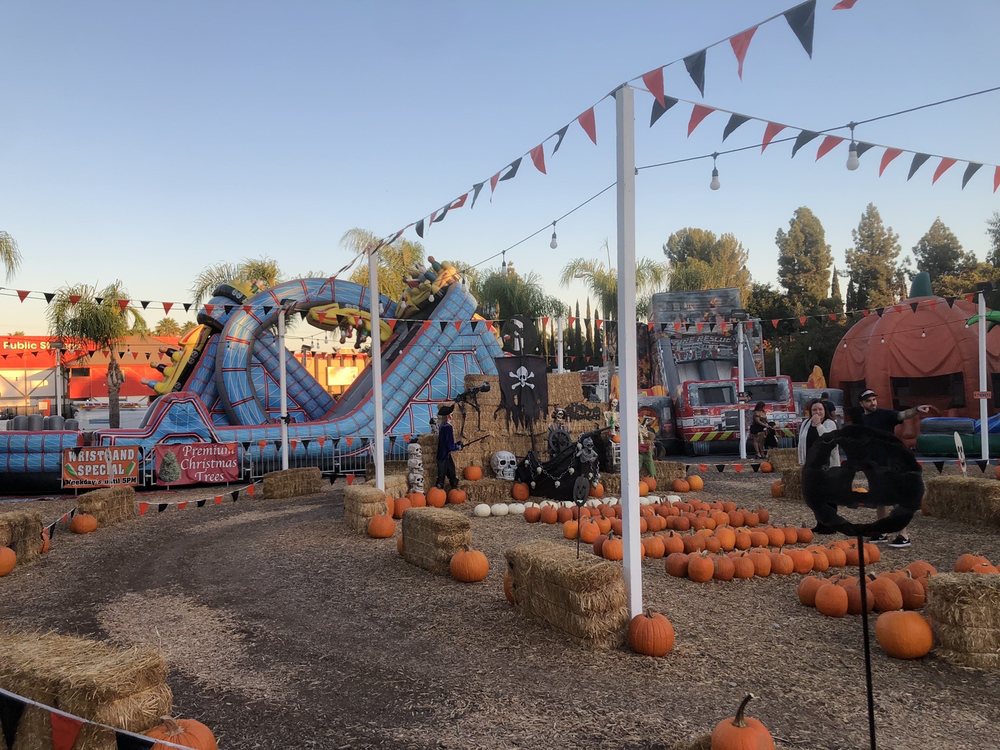 SANTA’S GARDEN 114 Photos & 48 Reviews 777 S Beach Blvd, La Habra