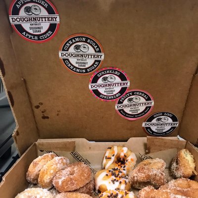 Doughnuttery by null