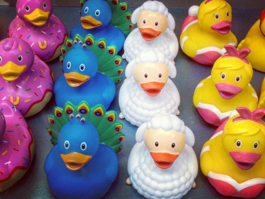 Amsterdam Duck Store by null