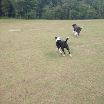Ashley River Park - Dog Parks Near Me - Summerville, South Carolina