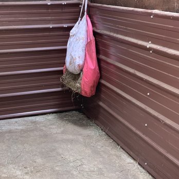 Fall City Wallaby Ranch - Babies back to bed. - Ranches Near Me - Fall City, Washington