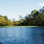 Photo of Paradise Brook Trout