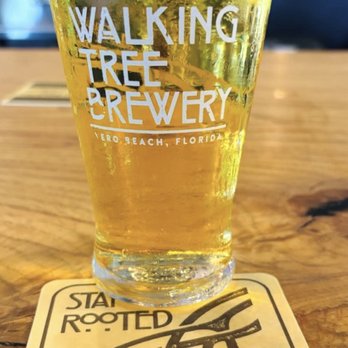 Walking Tree Brewery - Delicious Pilsner style beer - Breweries Near Me - Vero Beach, Florida Walking Tree Brewery - Delicious Pilsner style beer - Breweries Near Me - Vero Beach, Florida