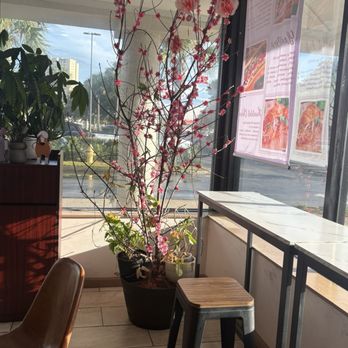 Paris Banh Mi Destin - Cafes Near Me - Miramar Beach, Florida Paris Banh Mi Destin - Cafes Near Me - Miramar Beach, Florida