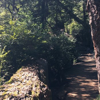 Mount Tamalpais State Park - Sunshine - Parks Near Me - Mill Valley, California Mount Tamalpais State Park - Sunshine - Parks Near Me - Mill Valley, California