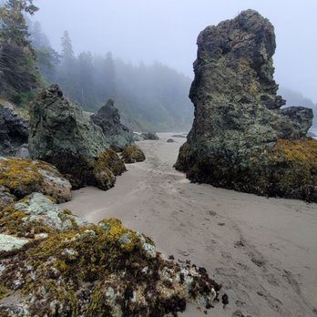 College Cove - Beaches Near Me - Trinidad, California