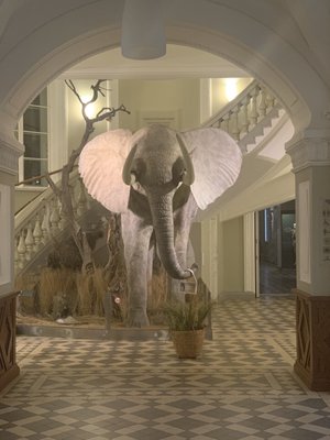 Helsinki Art Museum (HAM) by null