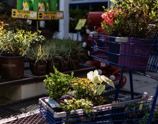 Lowe's Home Improvement by null