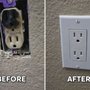 Appleton Electric and Solar