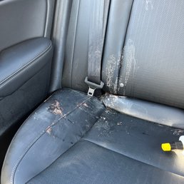 After paying them to clean my interior and shampoo my mat. Wtffffff After paying them to clean my interior and shampoo my mat. Wtffffff