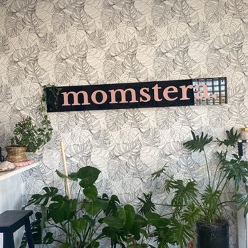 Momstera Lounge - Nurseries & Gardening Near Me - Campbell, California Momstera Lounge - Nurseries & Gardening Near Me - Campbell, California
