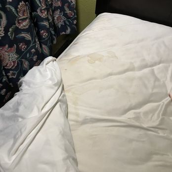 Red Carpet Inn - Bed stained - Hotels Near Me - Cincinnati, Ohio Red Carpet Inn - Bed stained - Hotels Near Me - Cincinnati, Ohio