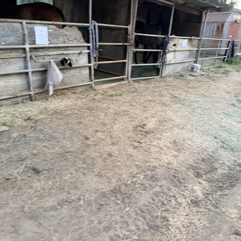 Willow Glen Equestrian - Horseback Riding Near Me - El Cajon, California