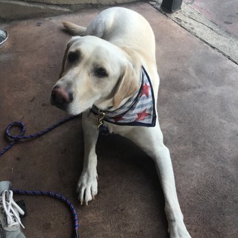 Italian Cravings - Dog friendly patio! - Italian Near Me - San Clemente, California