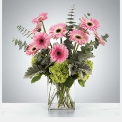 Daisy Kart Florist