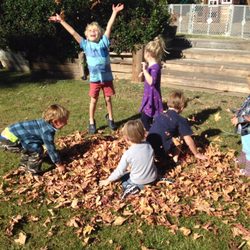 Pure Joy!