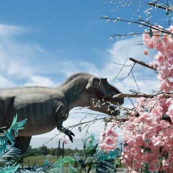 Yellowstone Bear World - The dinosaur expansion is really cool - Zoos Near Me - Rexburg, Idaho Yellowstone Bear World - The dinosaur expansion is really cool - Zoos Near Me - Rexburg, Idaho