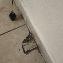 Filth on floor