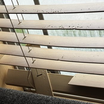 The Raspberry Garden - Broken blinds - Hotels Near Me - Rexburg, Idaho The Raspberry Garden - Broken blinds - Hotels Near Me - Rexburg, Idaho