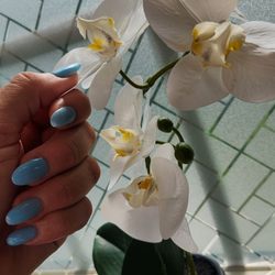 PNK Nails & Spa - Dip n Tip Almond shape