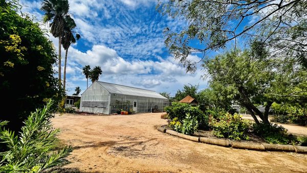 South Texas Botanical Gardens & Nature Center by null