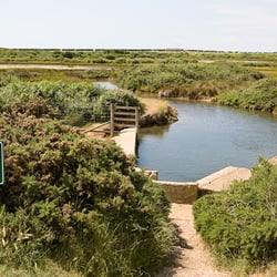 Snowhill Creek Crabbing Pond